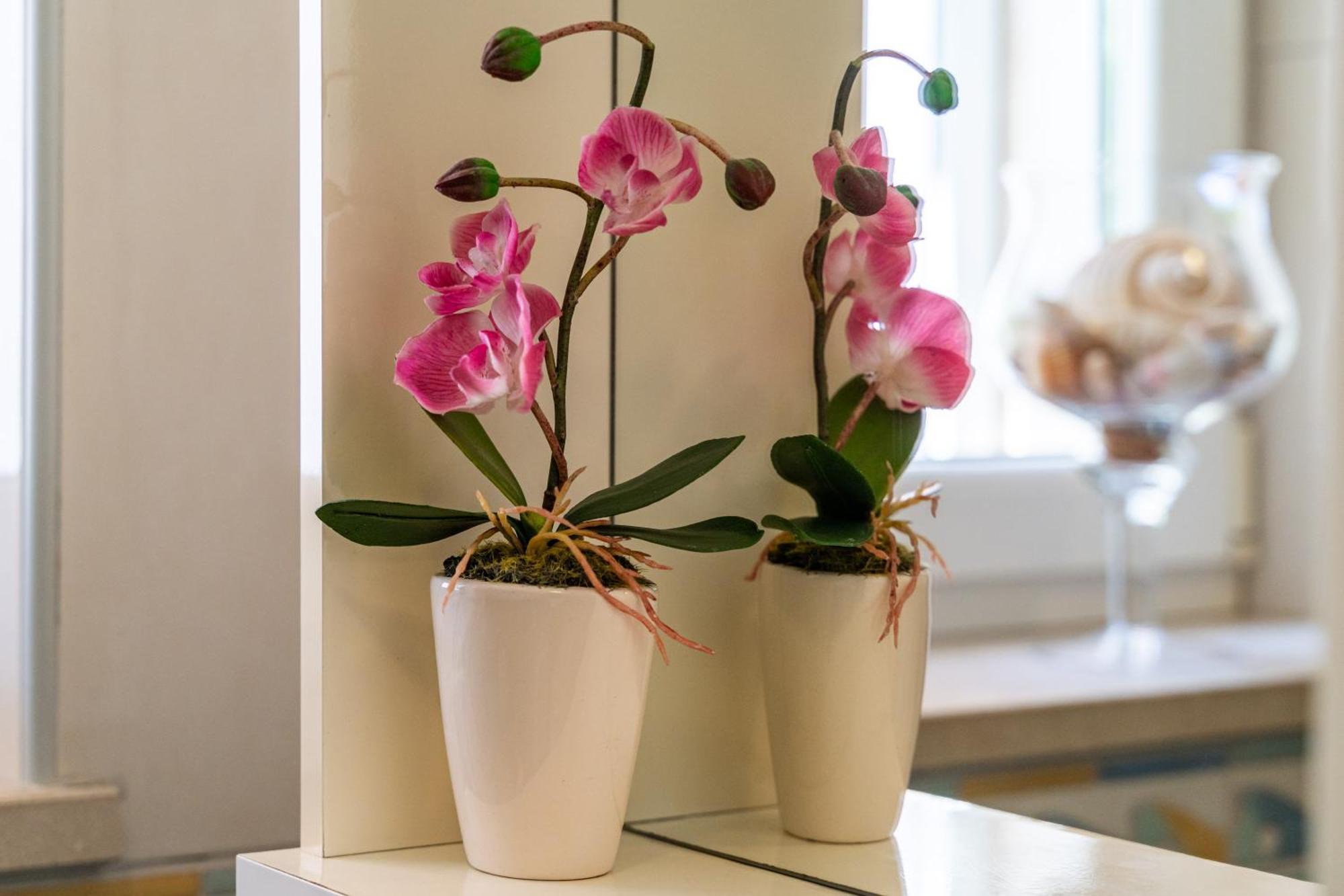 Apartments & Room Frane Dubrovnik Rom bilde